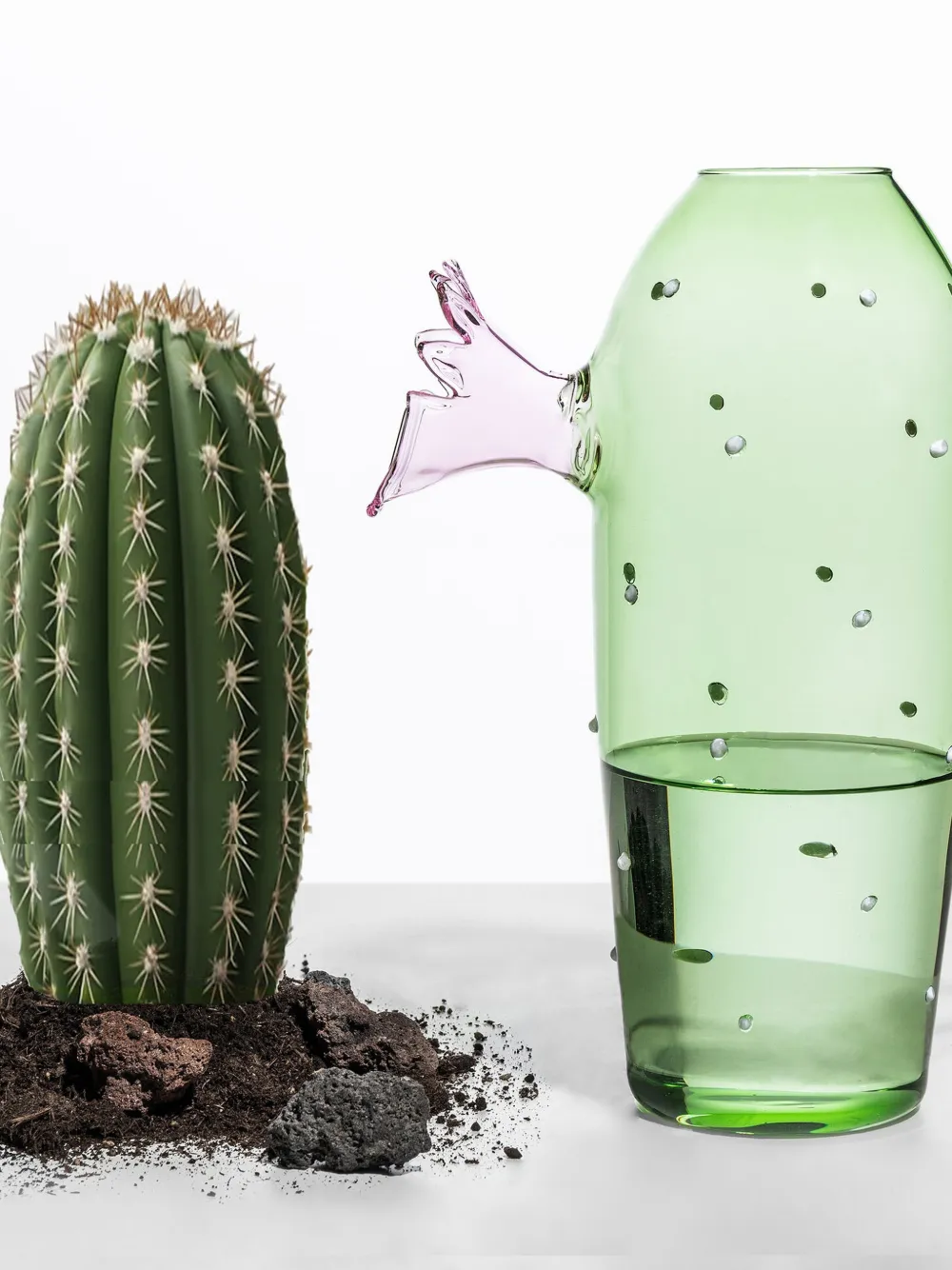  Ichendorf Milano Desert Plants Jar - Green 