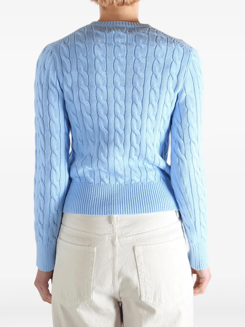 Polo Ralph Lauren Kabelgebreid vest Blauw