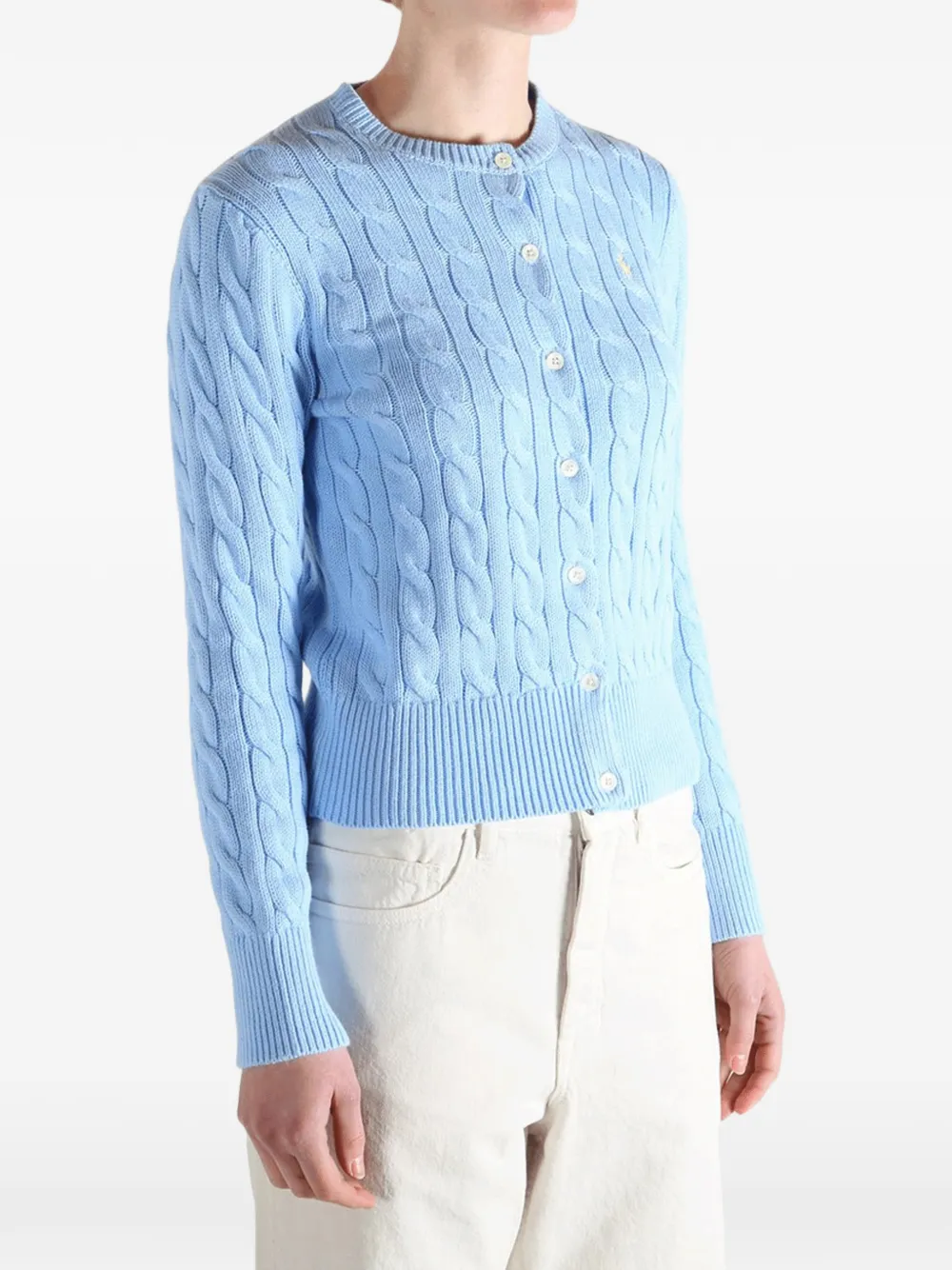 Polo Ralph Lauren Kabelgebreid vest Blauw