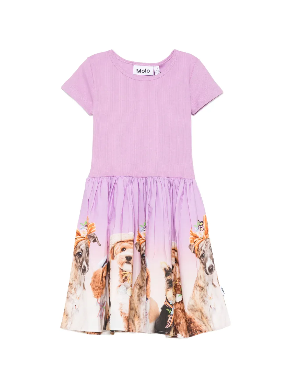 Molo Cissa short-sleeve dress - Viola