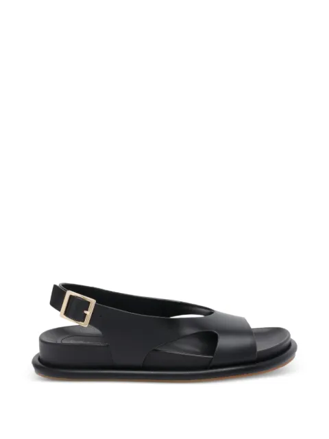 Paloma Barceló Calista buckle leather sandals