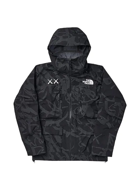 KAWS X The North Face Freeride jacket