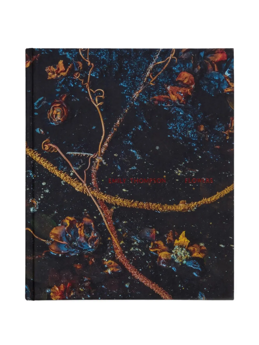 Hachette Book Group floral art book - Nero