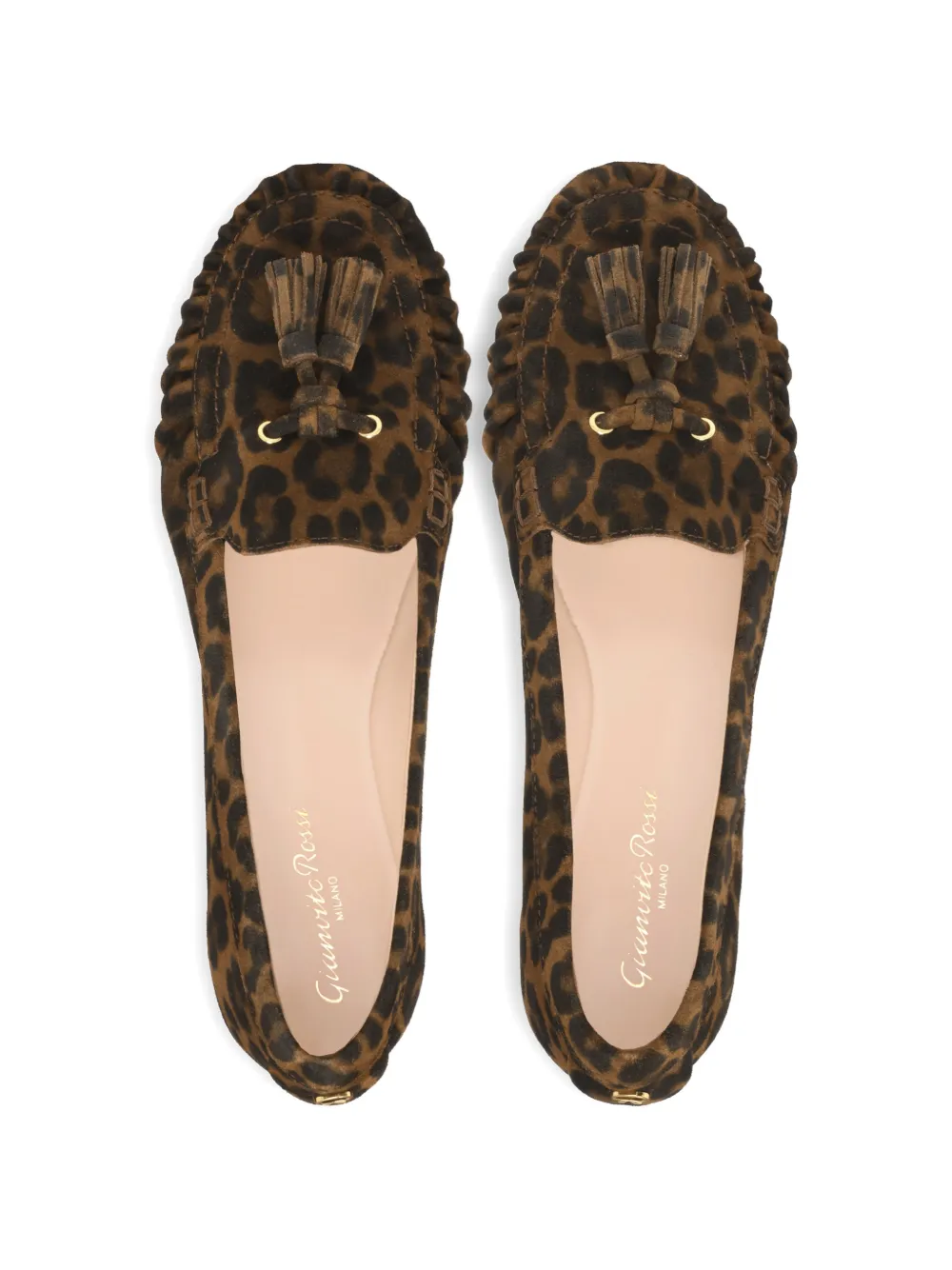 Gianvito Rossi THèA loafers met luipaardprint Bruin