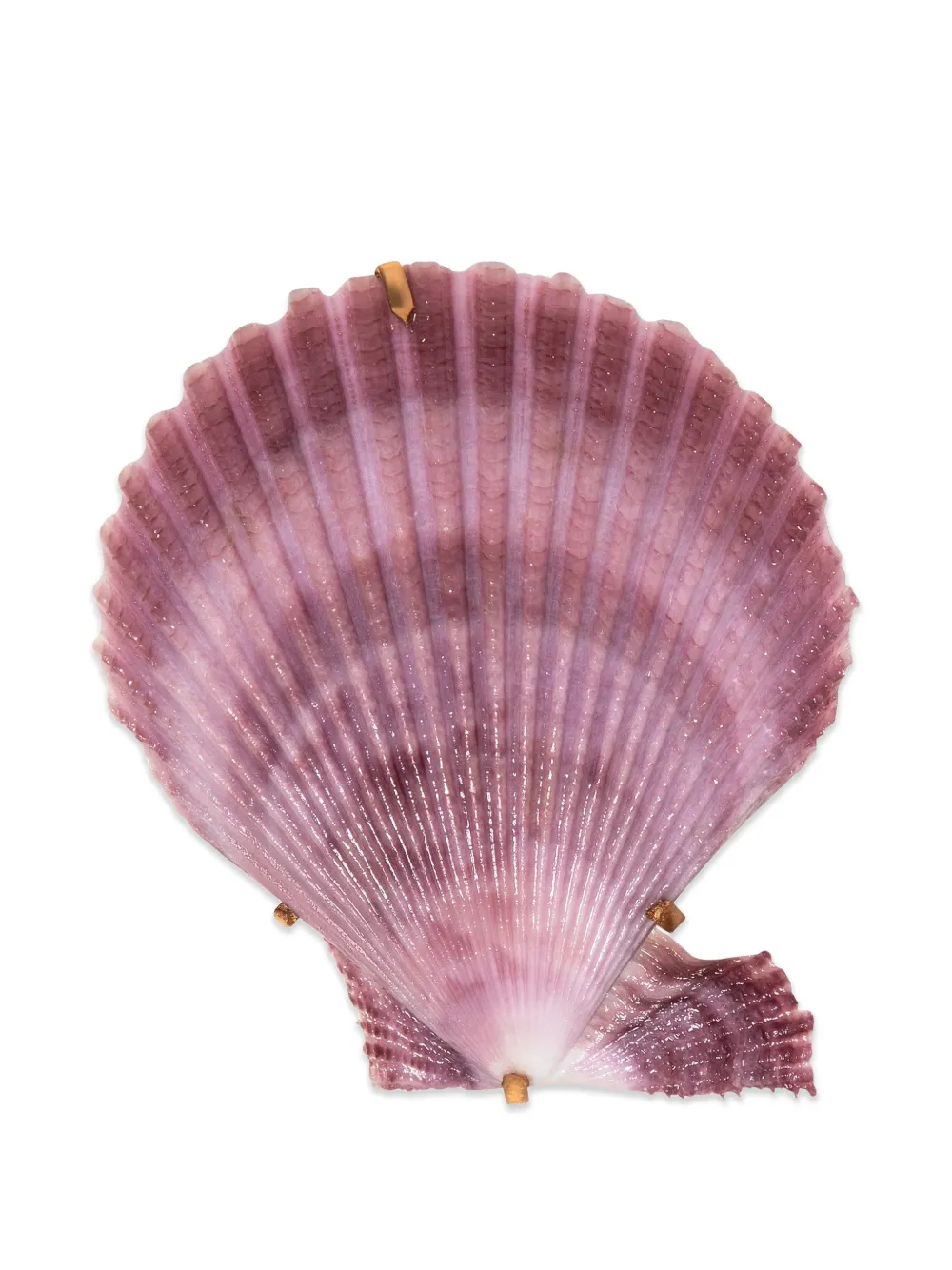 Jennifer Behr Paradis shell barrette - Oro