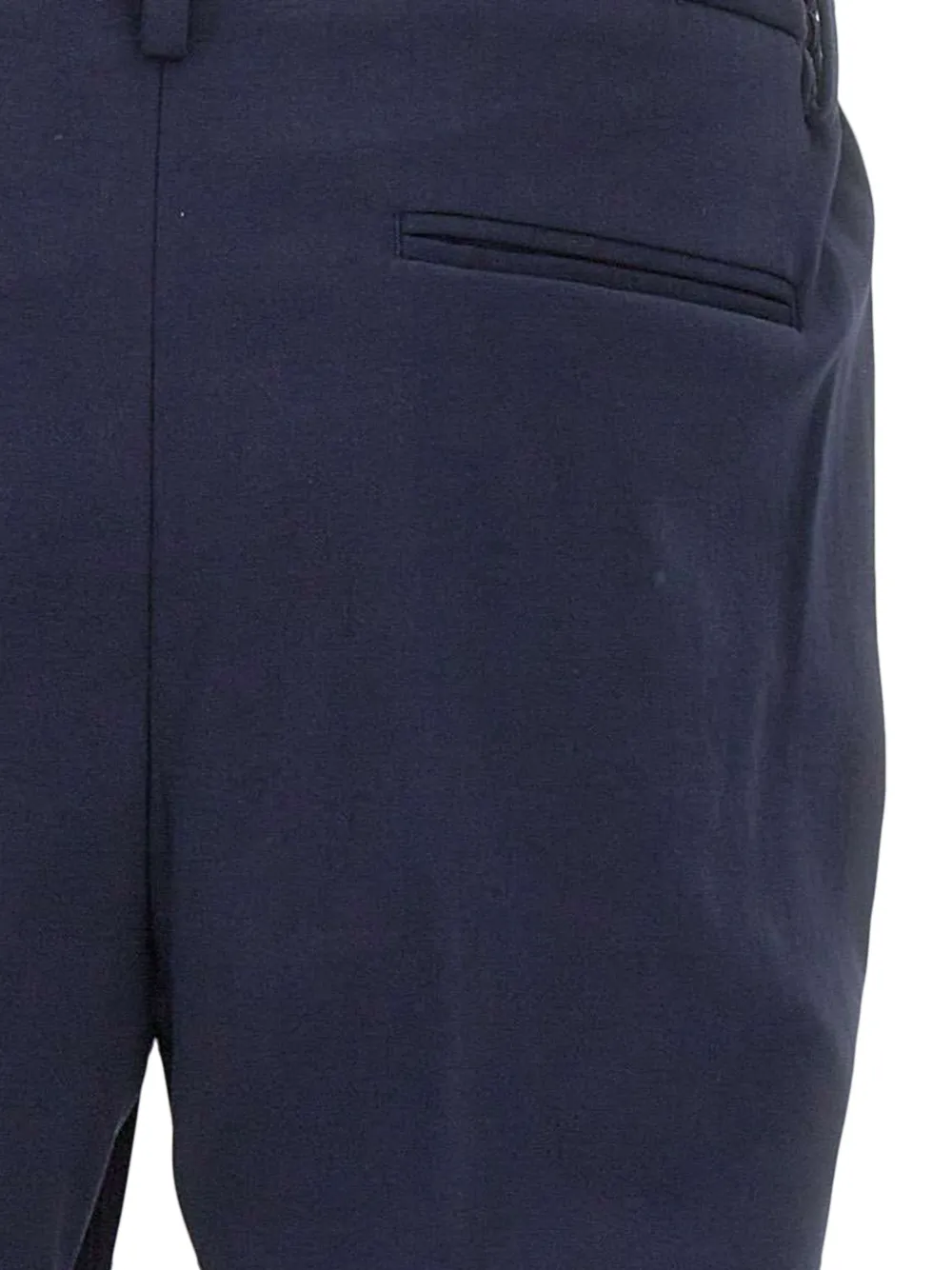 Devore Pleated Trousers In Blue