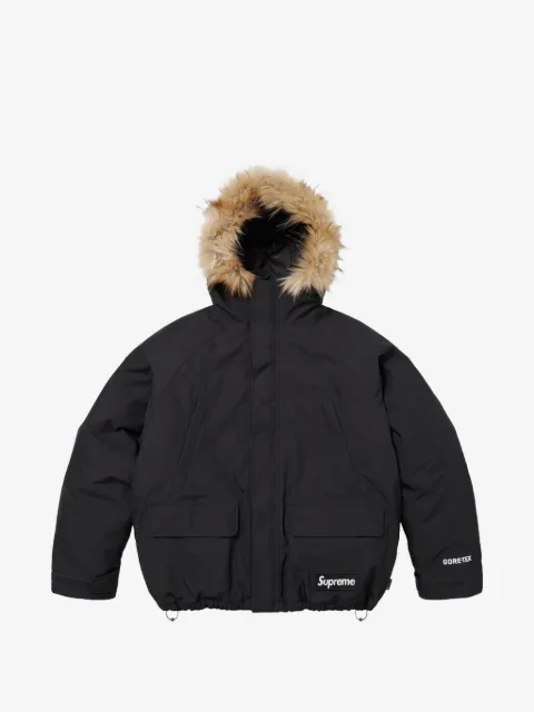 Supreme 2-in-1 Gore-Tex parka and reversible down jacket