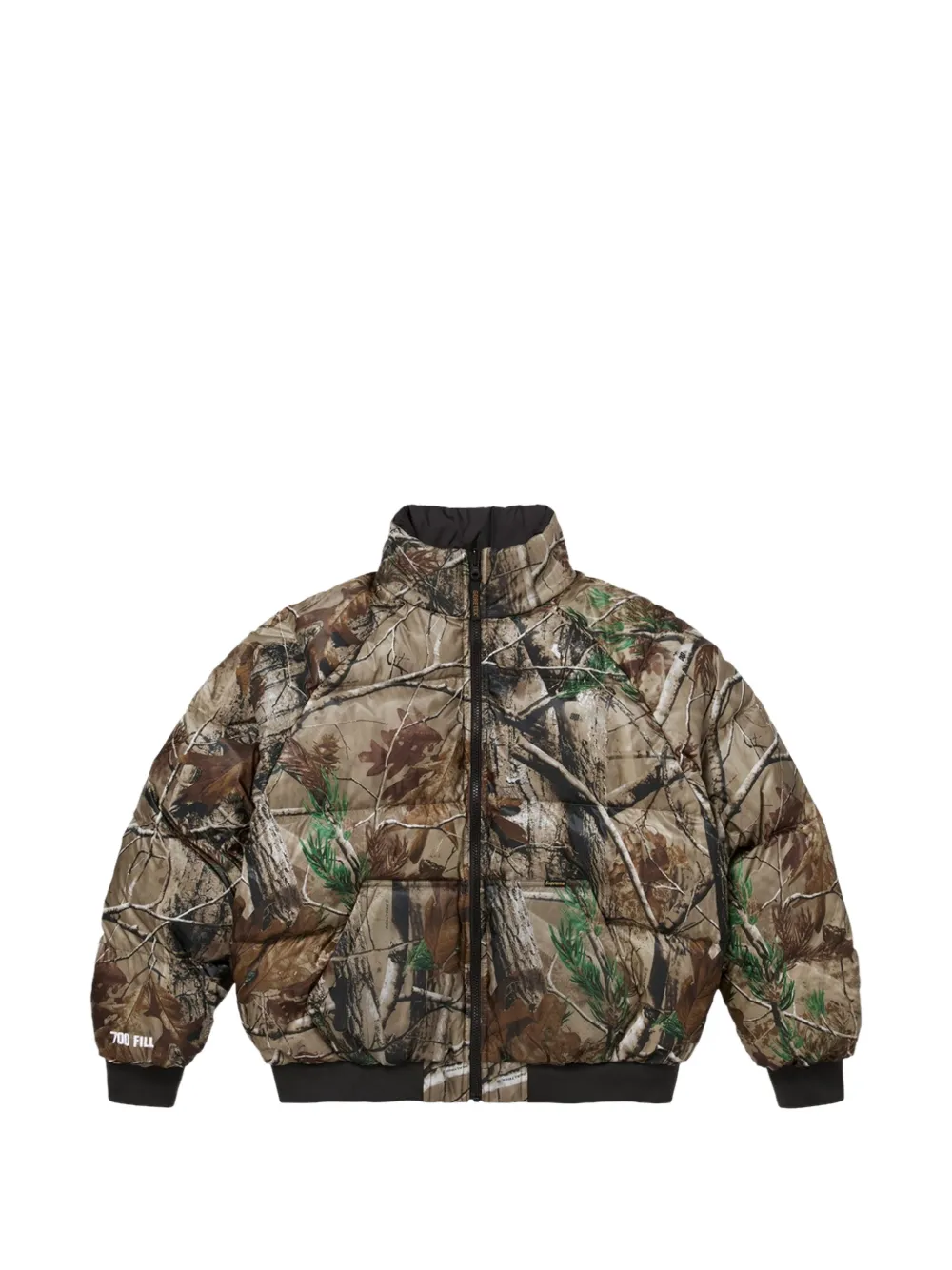 Supreme 2-in-1 Gore-Tex omkeerbaar donsjack Zwart