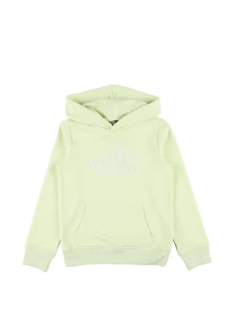 The North Face Kids Drew Peak Light hoodie