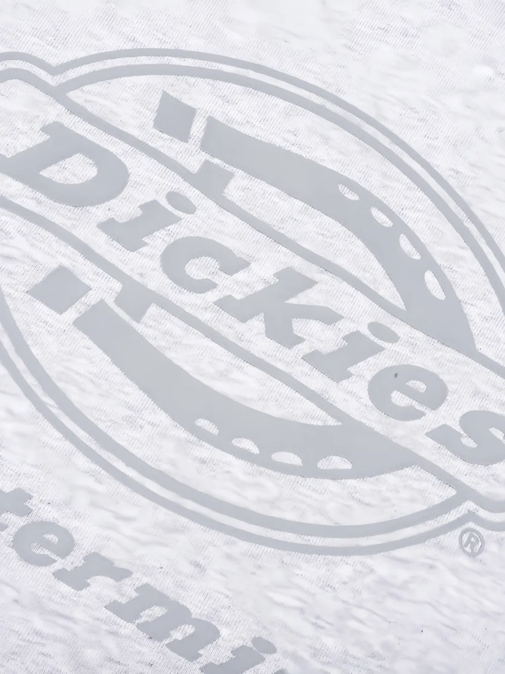 Mastermind Japan x Dickies hoodie met logo Grijs