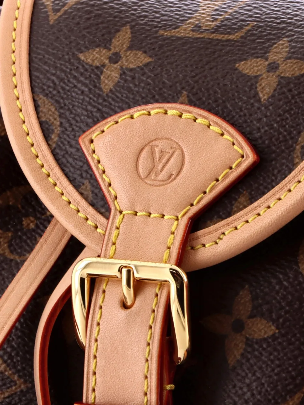 Louis Vuitton Pre-owned Excursion Monogram Canvas PM Backpack in Brown, view 5