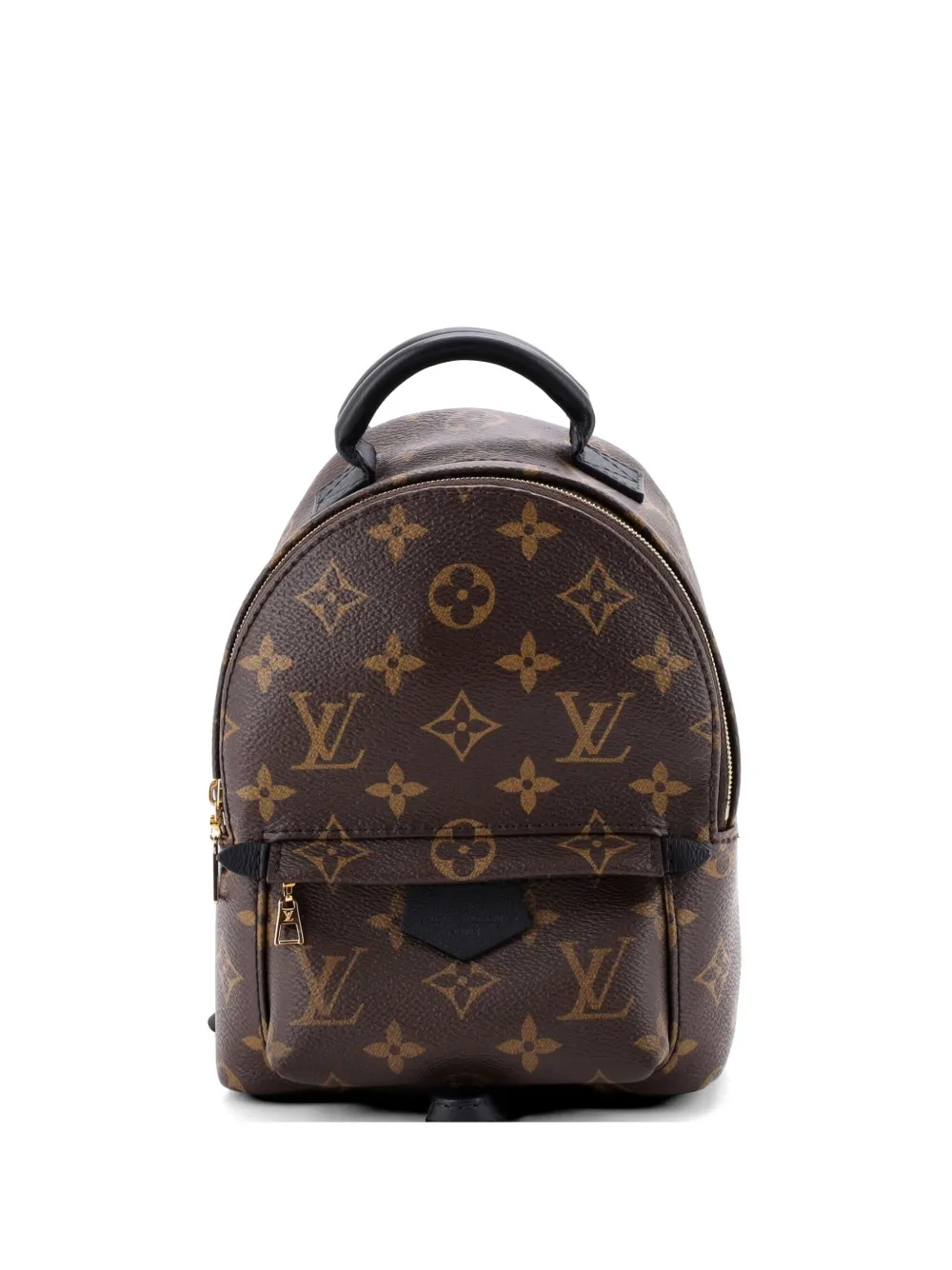 Louis Vuitton Pre-Owned Palm Springs Monogram Canvas Mini backpack - Marrone