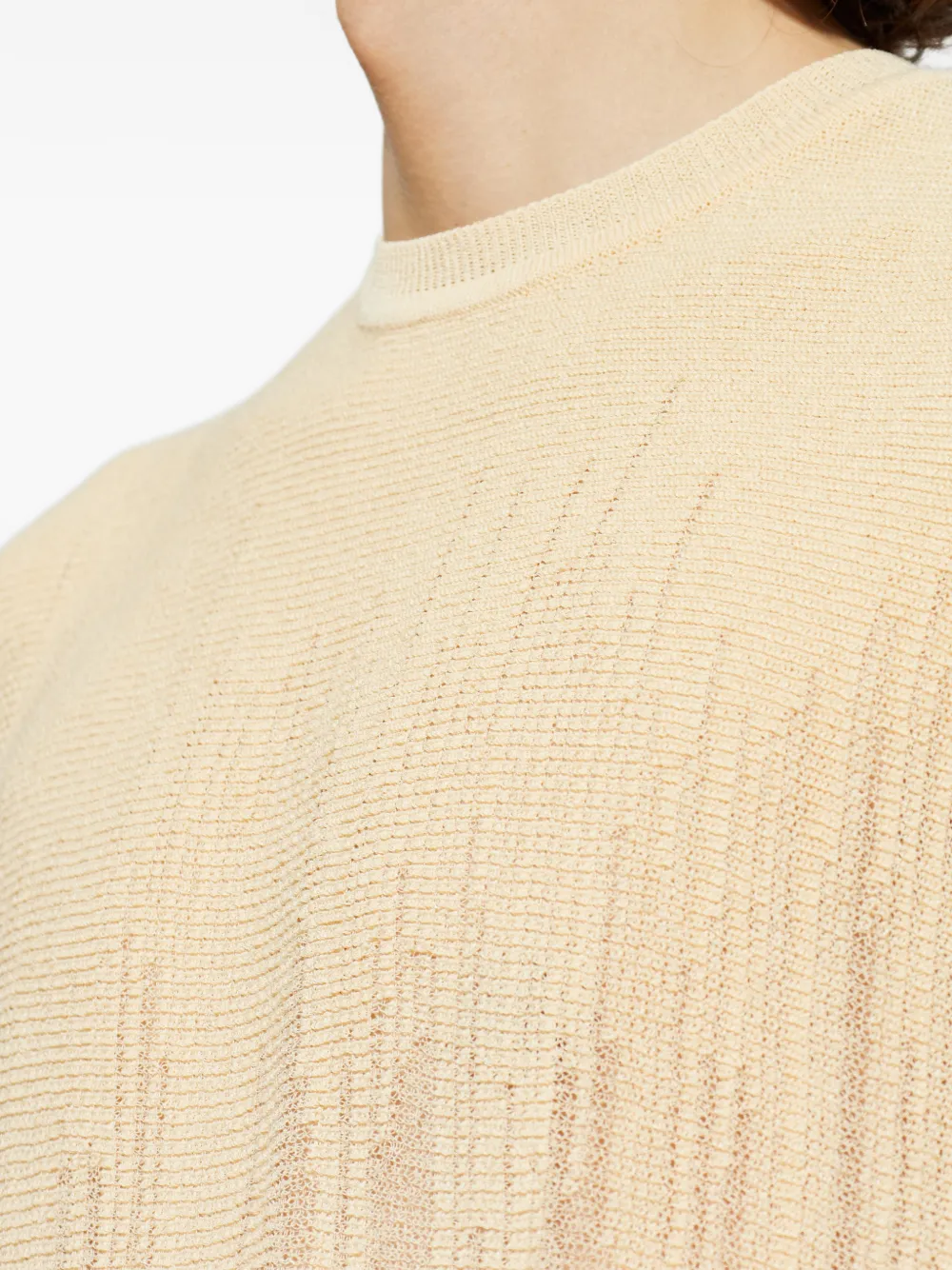Homme Plissé Issey Miyake Brush Close-up top met ronde hals Beige