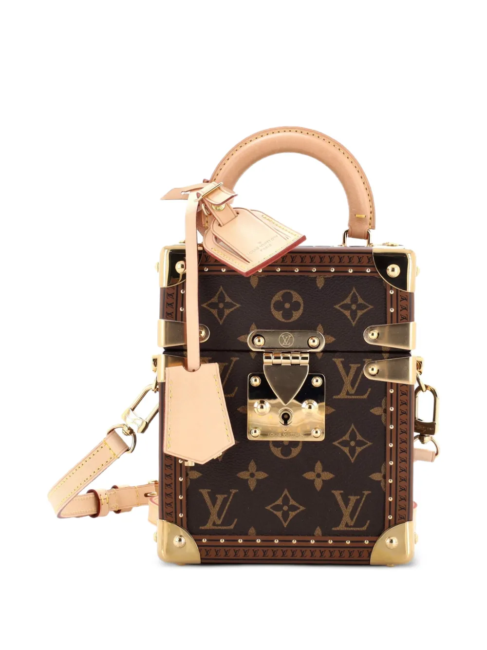 Louis Vuitton Pre-Owned Camera Box Trunk Bag Monogram Canvas satchel - Marrone