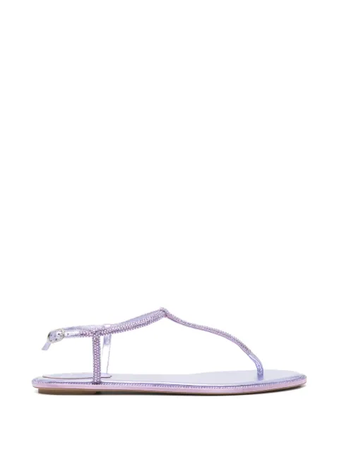 René Caovilla Diana sandals