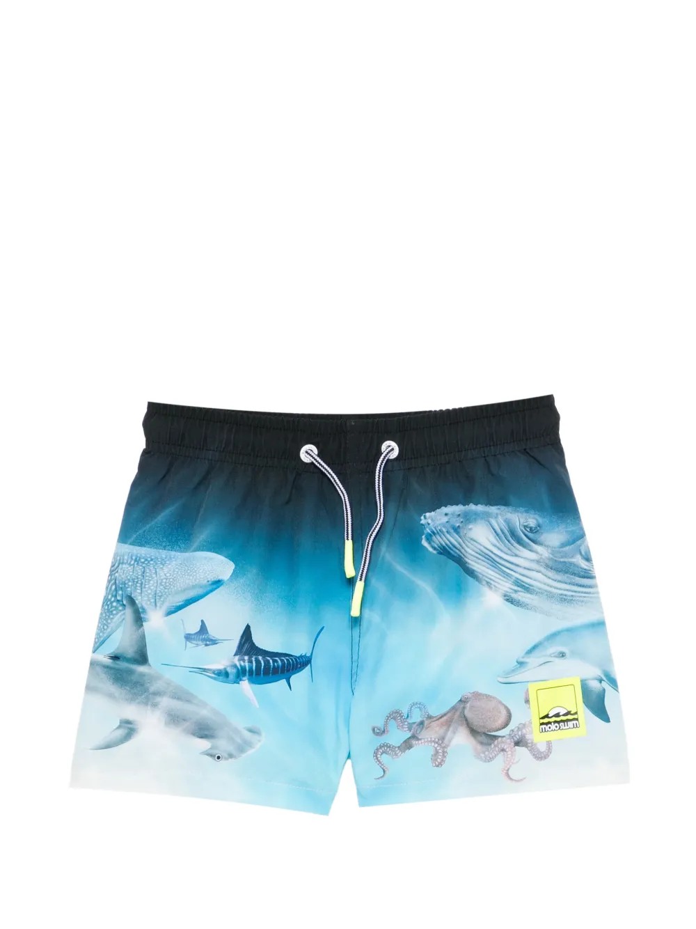 Molo Niko sea-print swim shorts - Blu
