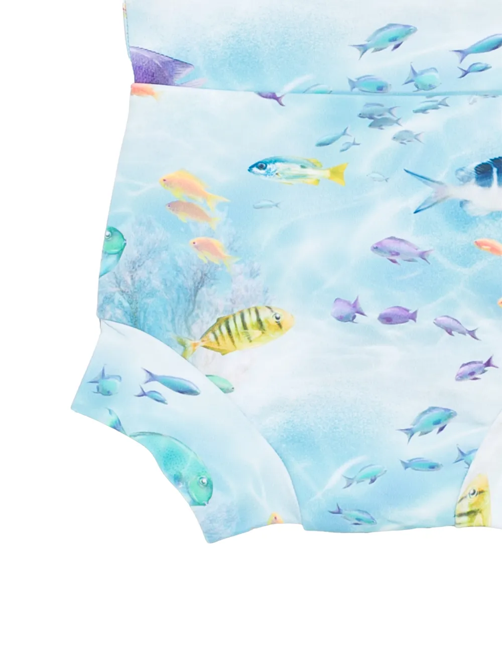  Molo Bañador Nick Estampado - Azul 