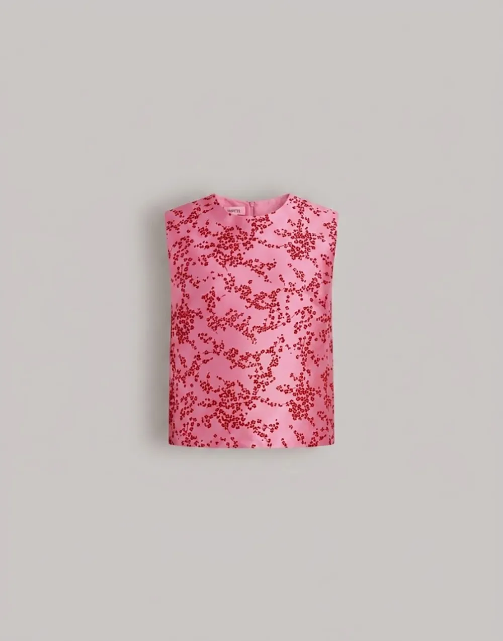 Alberta Ferretti Floral-print Sleeveless Blouse In Pink