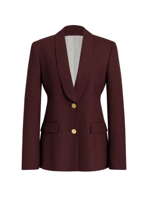 Alberta Ferretti shawl-lapel button-up blazer