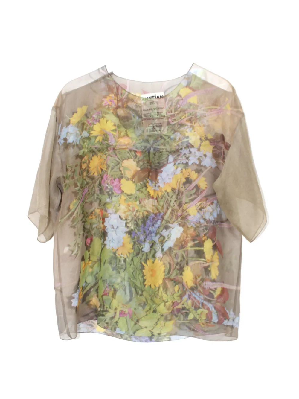 Anntian Top in chiffon - Toni neutri