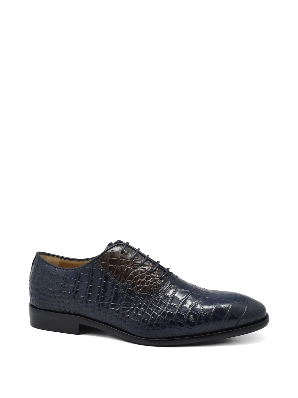 CAPORICCI Alligator Oxford schoenen met reliëf Blauw