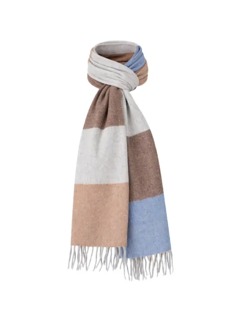 Chelsey Imports striped fringed scarf