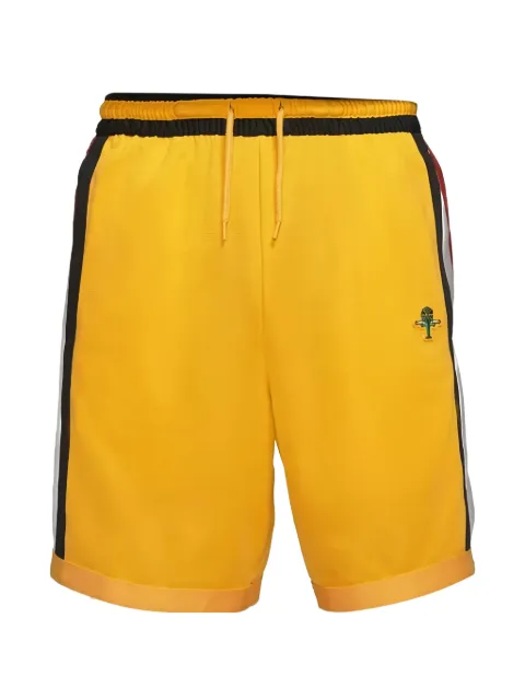 Nike Dri-FIT DNA+ Roswell Rayguns basketball shorts
