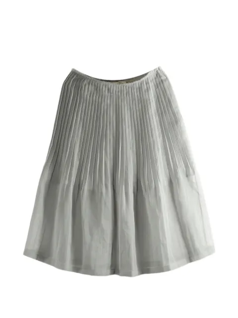 Amomento pleated sheer skirt