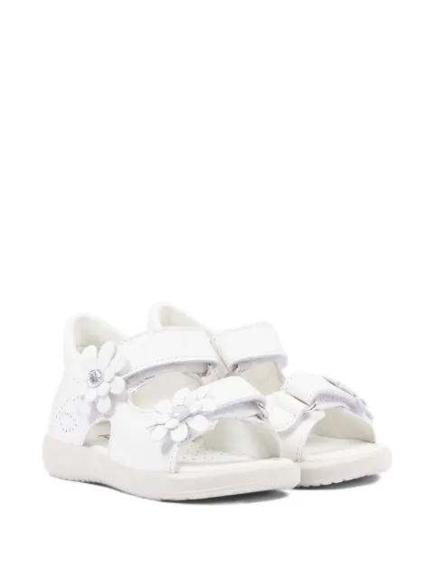 Falcotto flower detail strap sandals