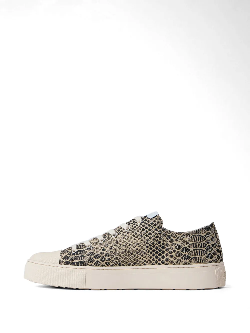 Vivienne Westwood Plimsoll snake-effect low-top sneakers Beige