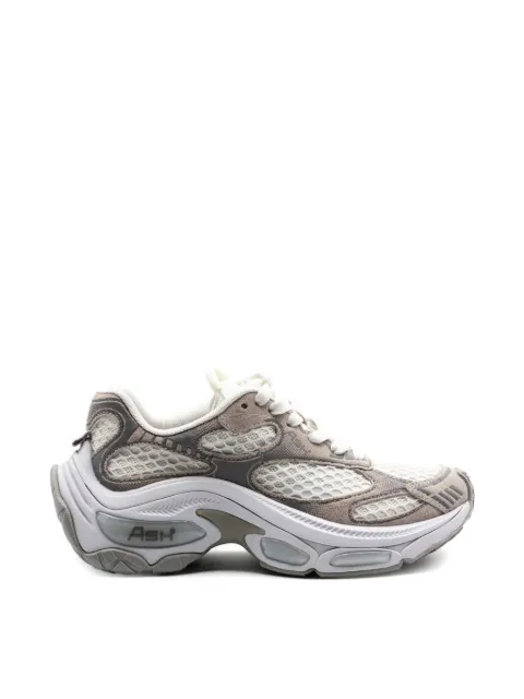 Ash Dragon panelled sneakers