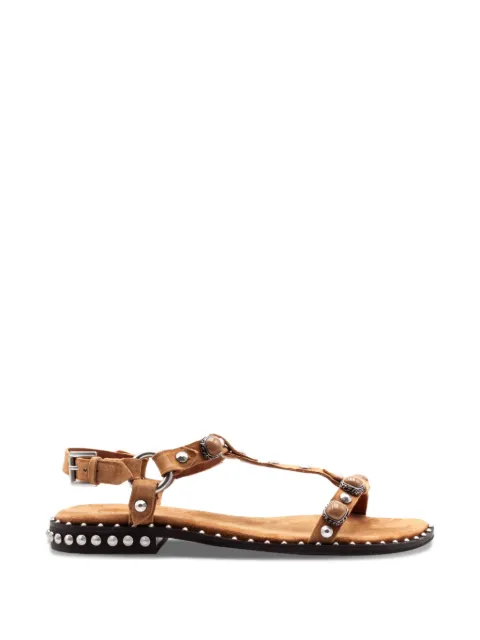 Ash Podium studded sandals