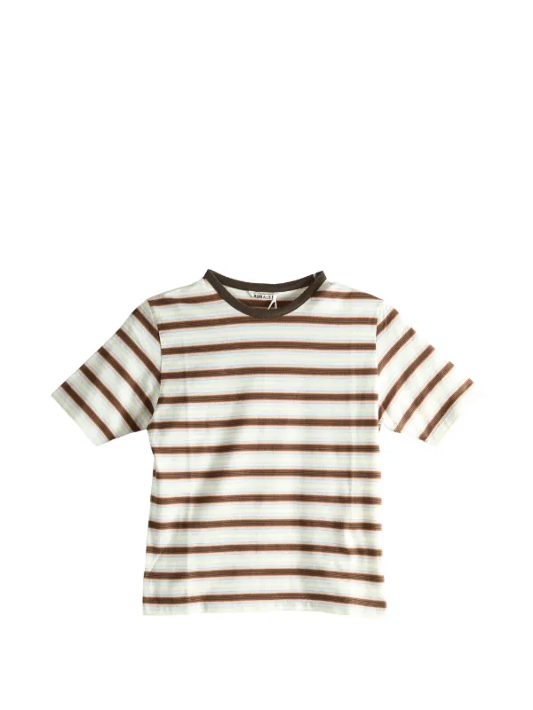 Auralee Gradient Striped T-shirt in Brown