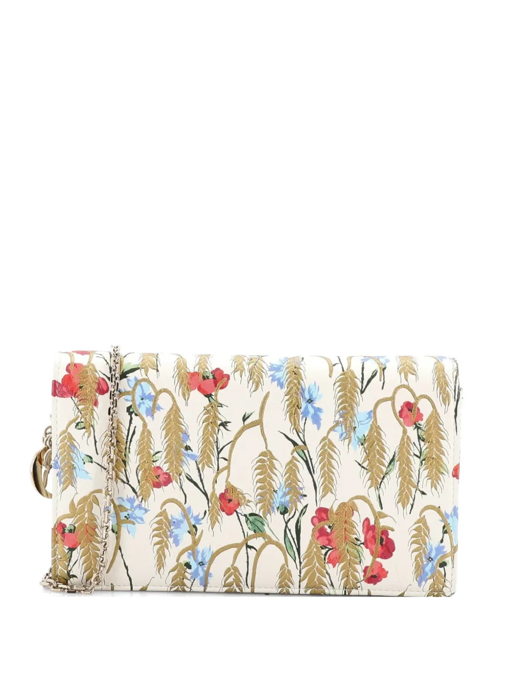 Christian Dior Pre-Owned Lady Dior Wallet on Chain Pouch Printed Leather crossbody bag - Toni neutri