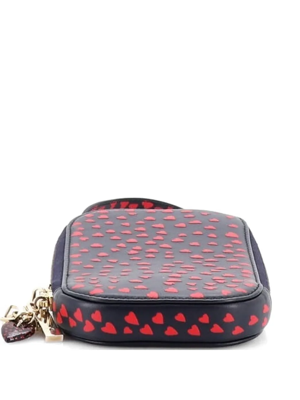 Christian Dior Pre-Owned I Love Paris Phone Holder Printed Leather shoulder bag - Blau