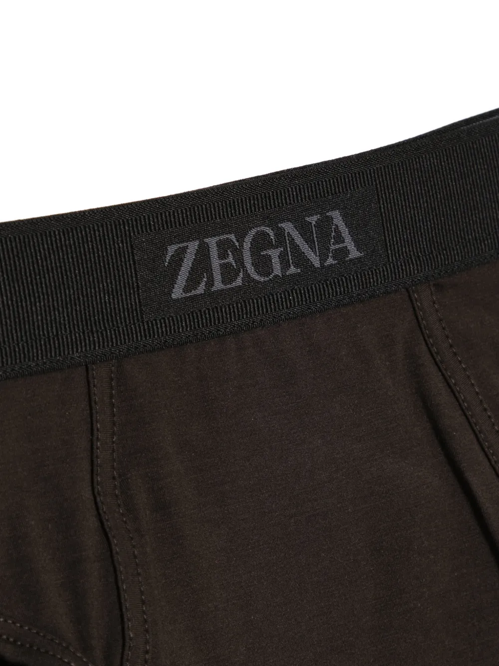 Zegna Slip met logoband Bruin