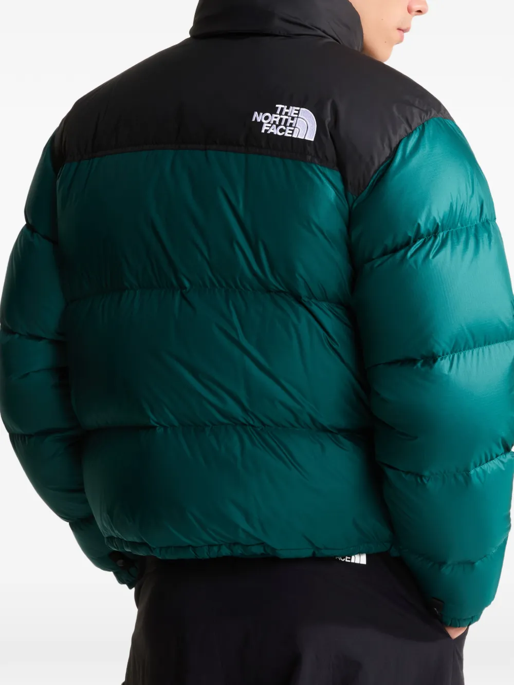 The North Face Jack met vlakken Groen