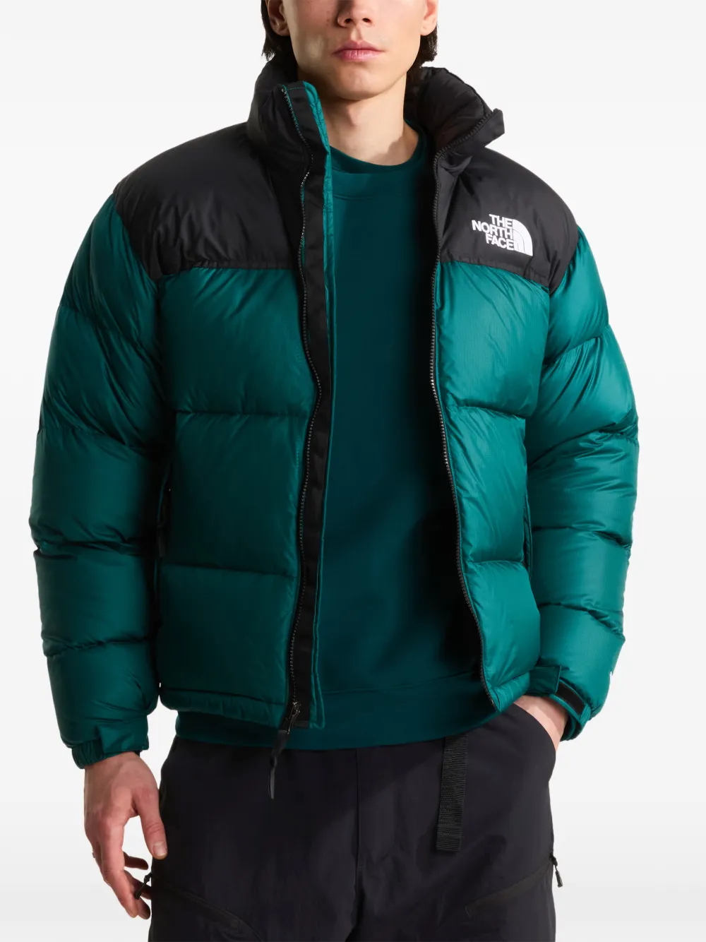 The North Face Jack met vlakken Groen
