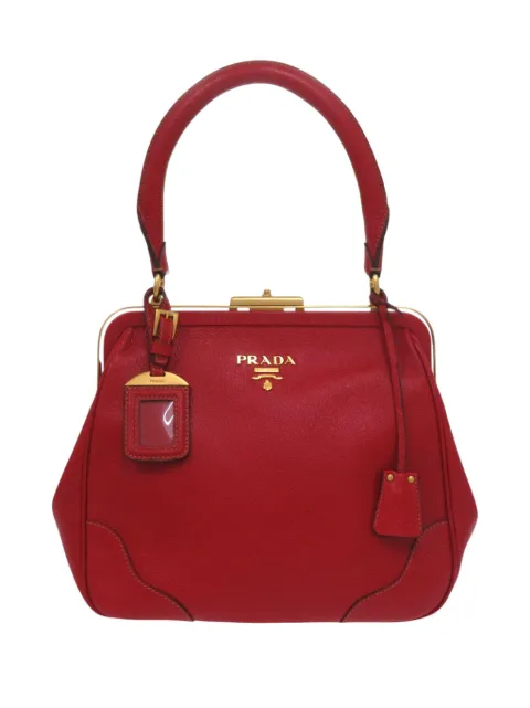 Prada Pre-Owned 2010-2025 Cinghiale Frame handbag
