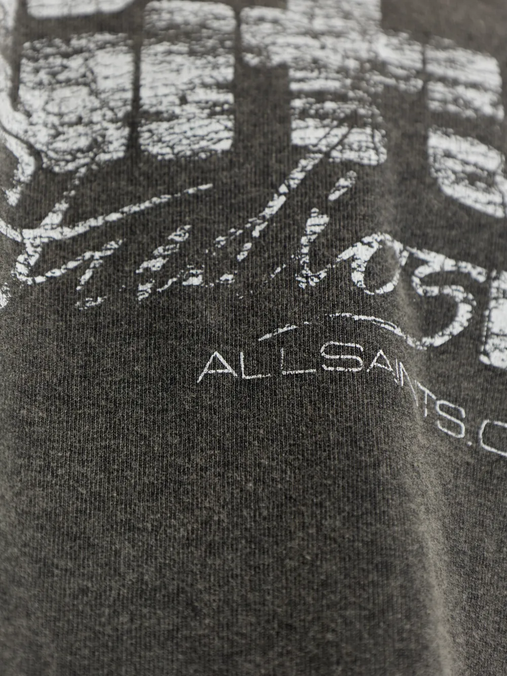 AllSaints Sun City T-shirt met print Grijs