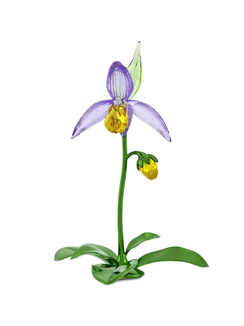 Swarovski Florere Lady Slipper orchid home decor