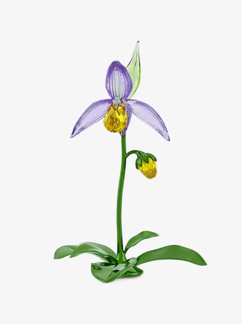 Swarovski Florere Lady Slipper orchid home decor