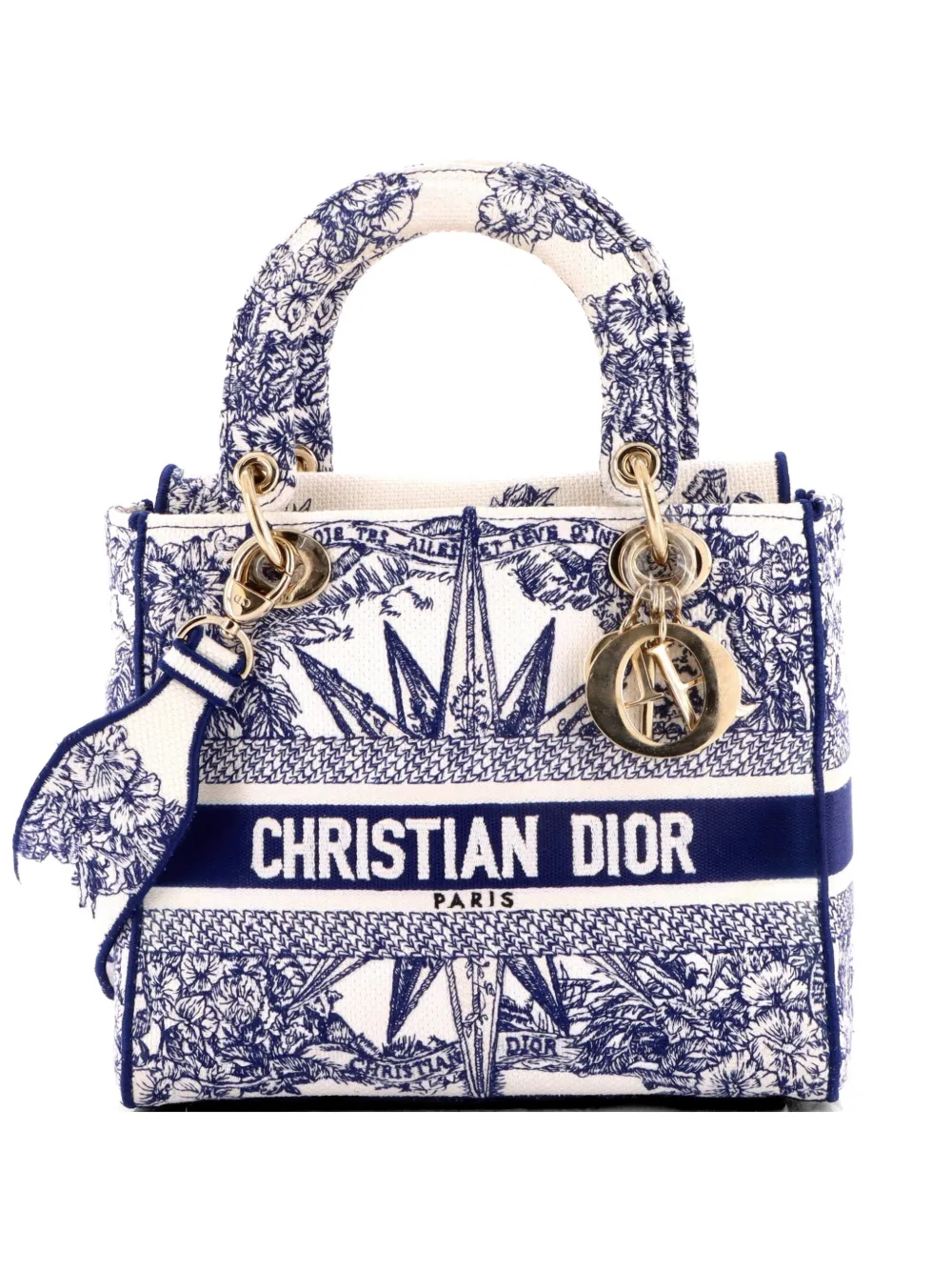 Christian Dior Pre-Owned Lady D-Lite Bag Embroidered Canvas Medium satchel - Blu