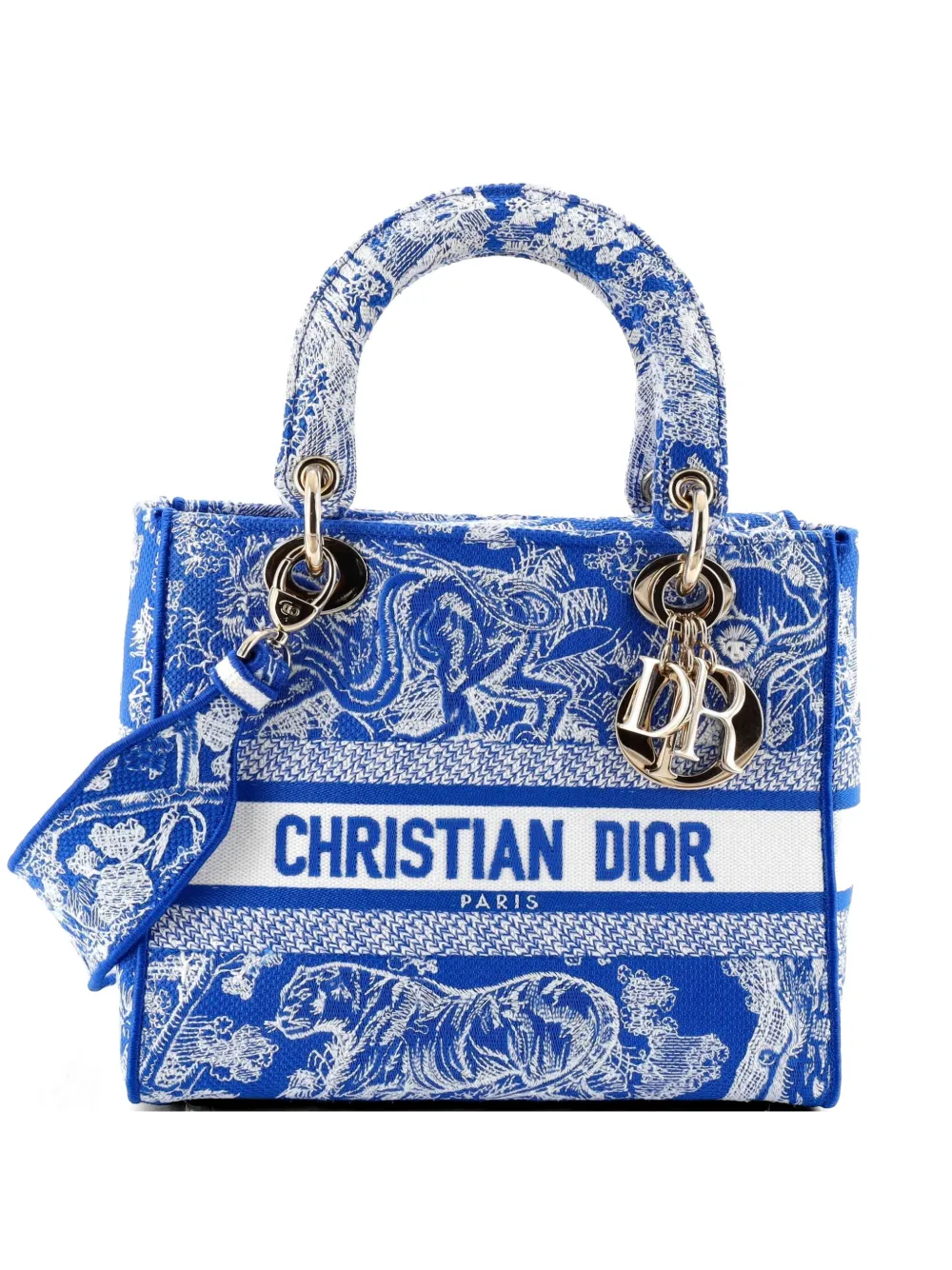 Christian Dior Pre-Owned Lady D-Lite Bag Embroidered Canvas Medium satchel - Blu