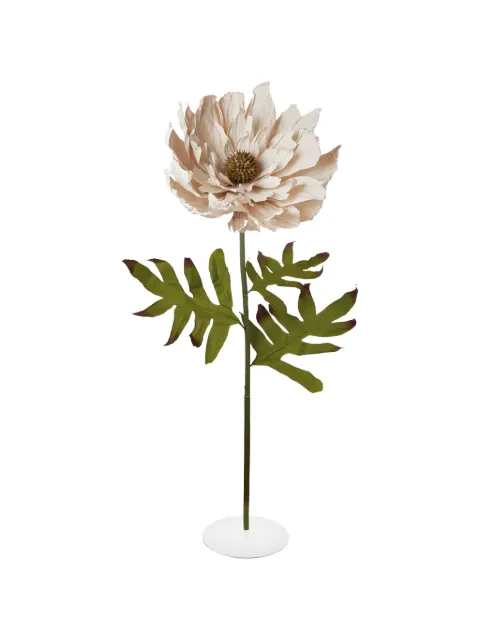 L'OCA NERA dahlia decorative flower