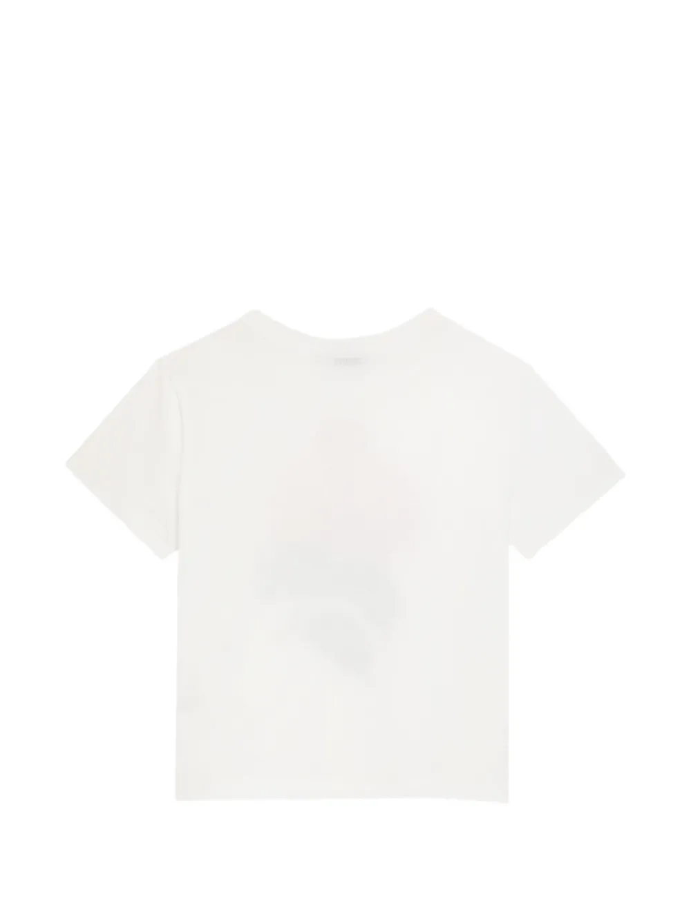 Dolce & Gabbana Kids T-shirt met bloemenprint Wit
