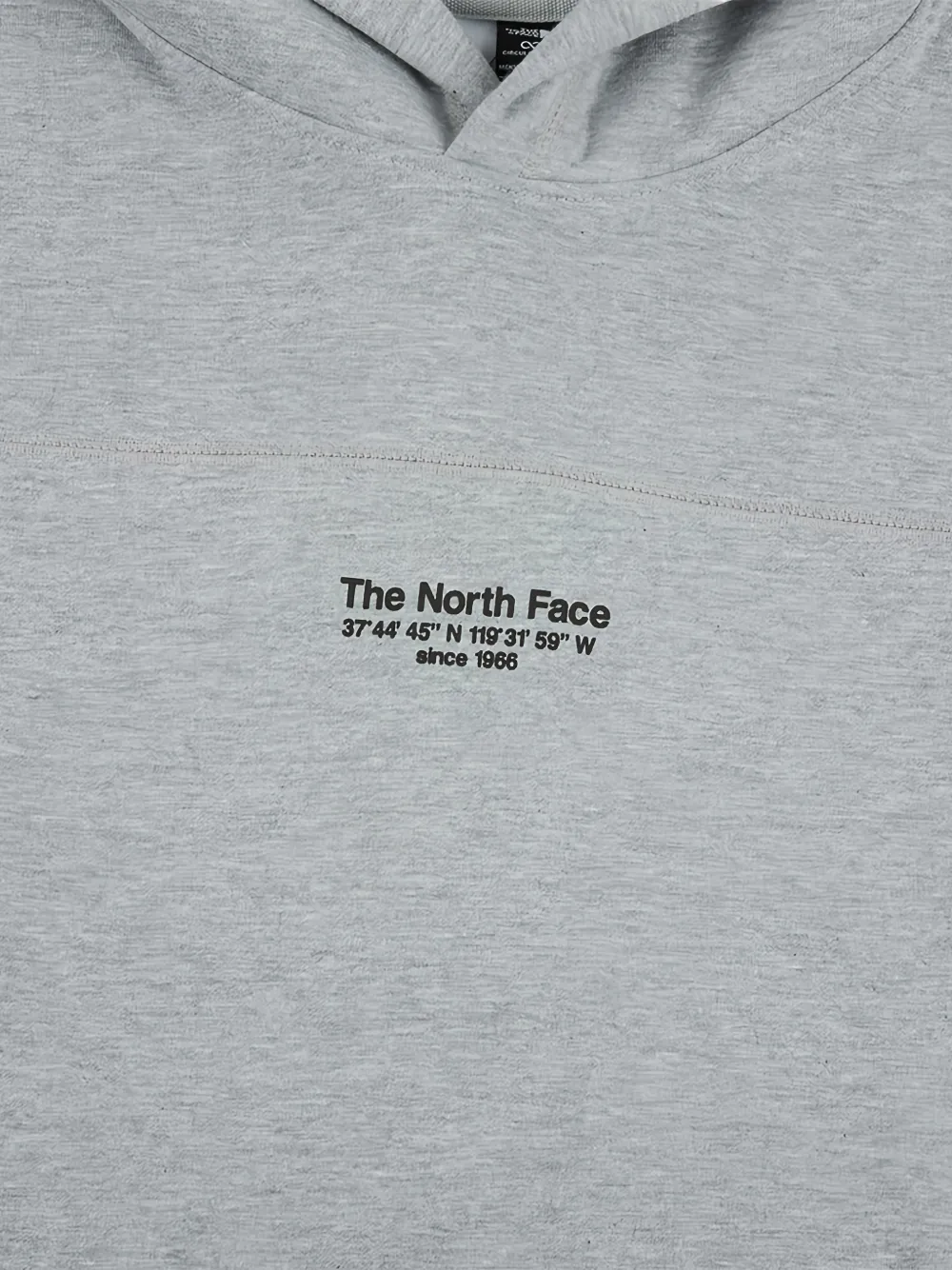 The North Face Seven Summits hoodie Grijs
