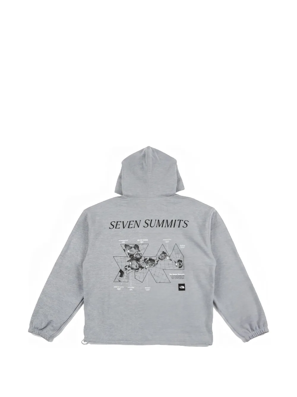 The North Face Seven Summits hoodie Grijs