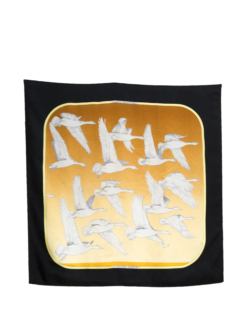Hermès Pre-Owned 1970s Oiseaux Migrateurs silk scarf - Nero