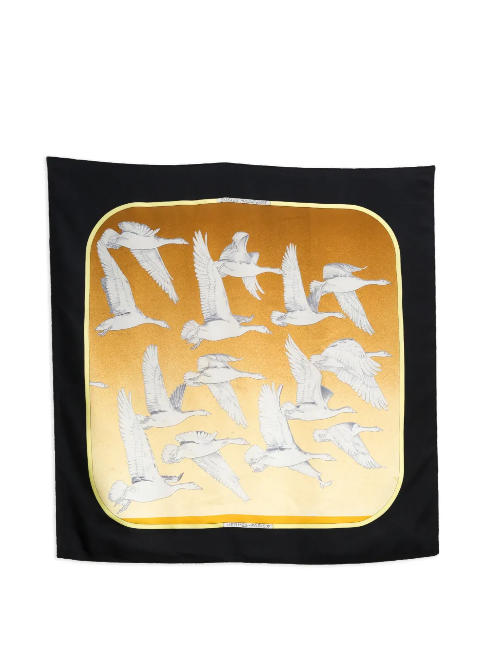 Hermès Pre-Owned 1970s Oiseaux Migrateurs silk scarf - Nero